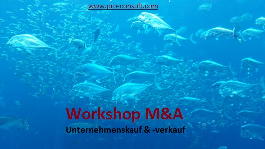 Workshop M&A Unternehmenskauf & Unternehmensverkauf